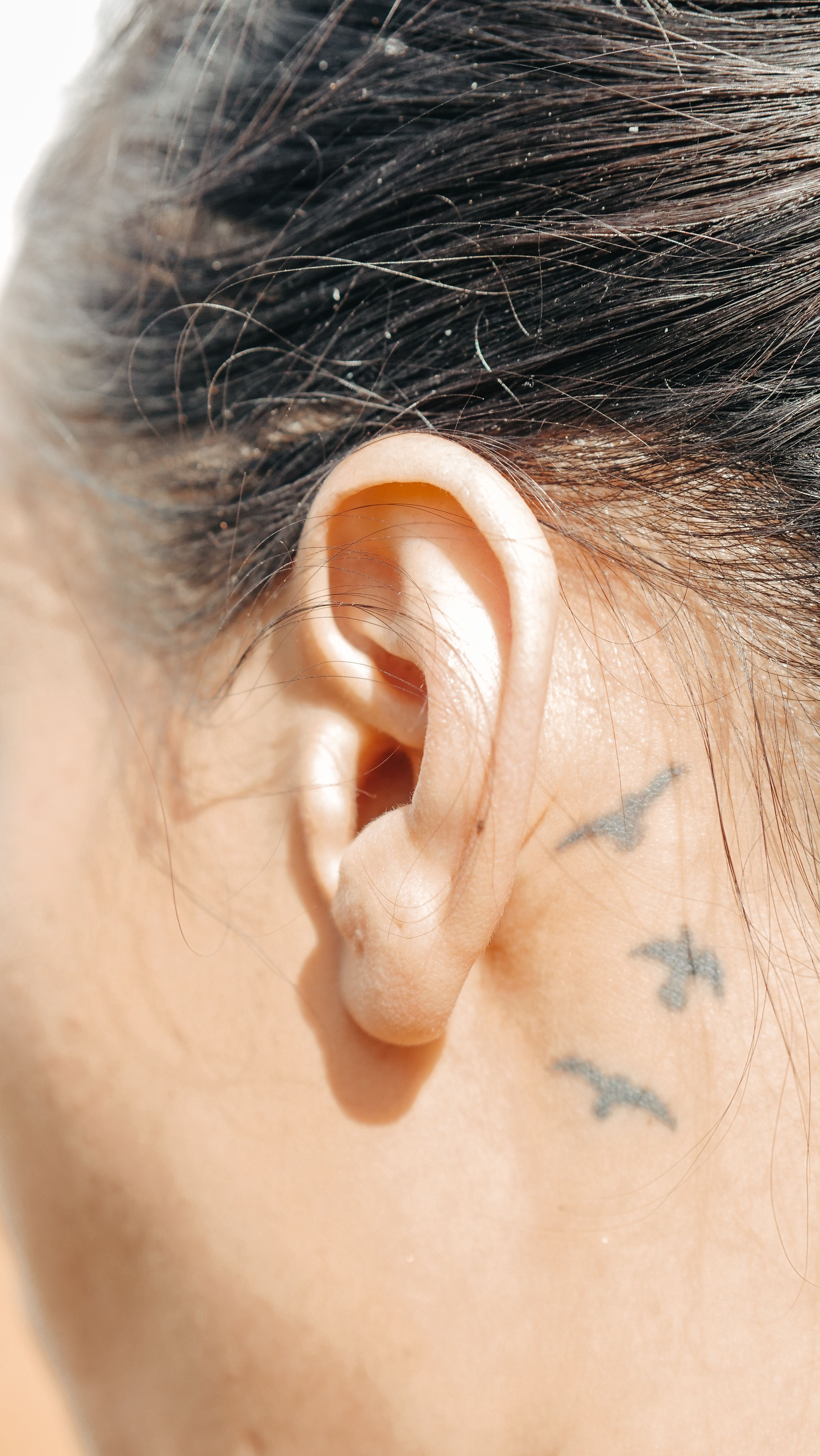 Hearing aid fitting consultation