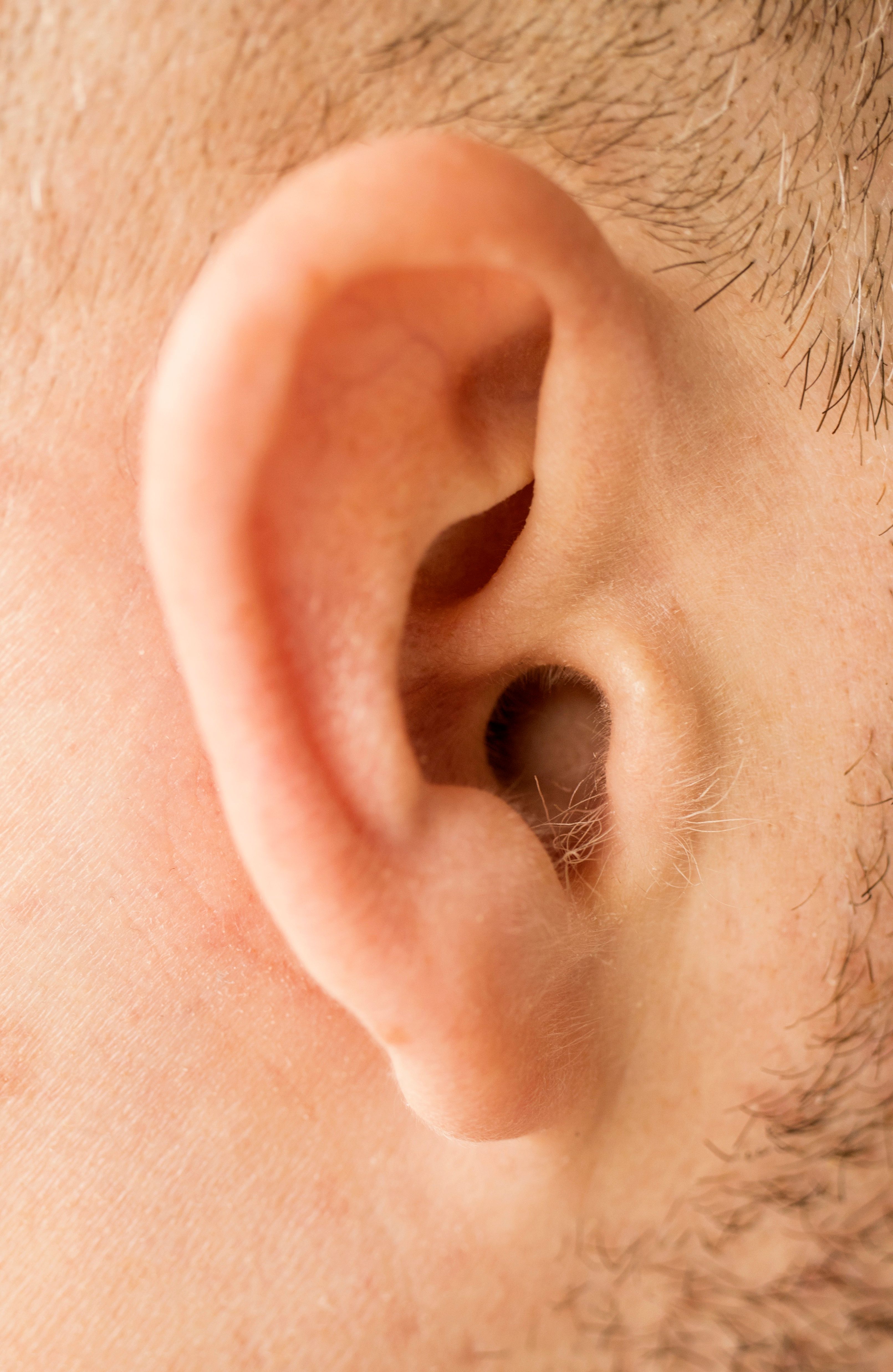 Cochlear implant programming